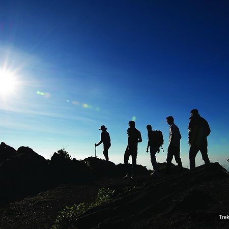 The Serai Chickmagalur Chikmagalūr Dış mekan fotoğraf